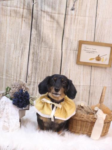 20241015モカちゃん